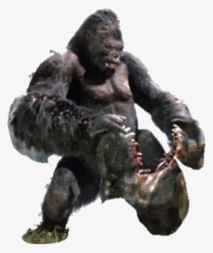 Above 60 Feet - Whats In Your Mouth Dog