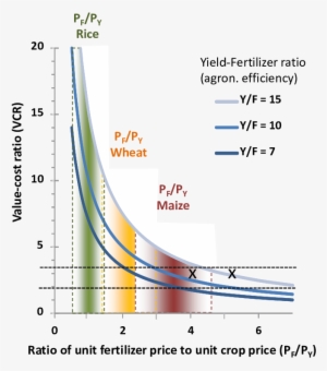Value-cost Ratio In Response To The Ratio Of Unit Fertilizer - Value To Cost Ratio
