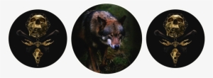 Welwyn Aesthetic Circles - Should I Apologize For The Monster I Have Become? No