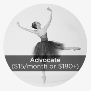 Advo Donation Circles - Portable Network Graphics