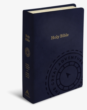 Each Of These Sections Has Its Own Color, And Every - Box