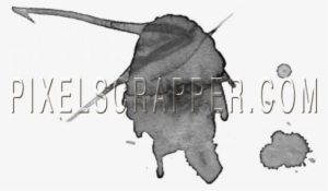 Watercolor Brush - Trilobite