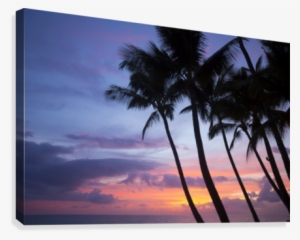 Palm Trees At Sunset, Keawekapu Beach