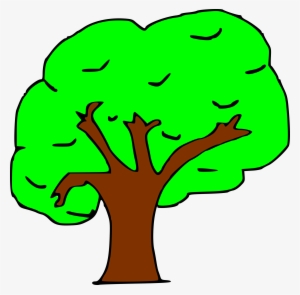 Arbol Png
