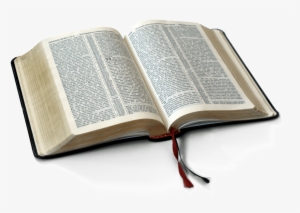 Biblical Therapy: For Health And Healing From Depression,
