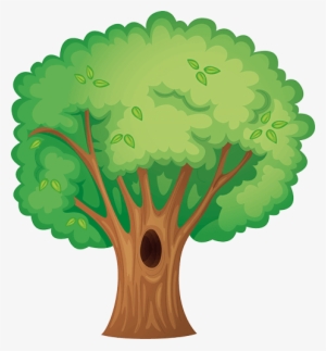 Arboles De La Naturaleza