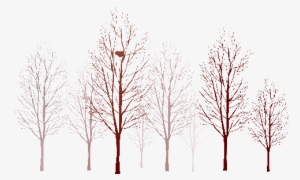 Autumn Árboles Otoño - Mental Image
