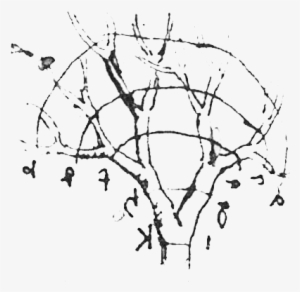 Gracias A Su Lectura Aprendimos Métodos Muy Interesantes - Leonardo Da Vinci Tree Sketch