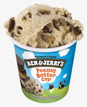 Peanut Butter Cup Pint - Ben And Jerry's Peanut Butter