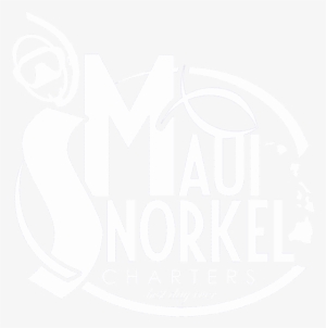 Maui Snorkel Charters Maui Snorkel Charters - Hawaii Rules Of Evidence; 2017 Edition