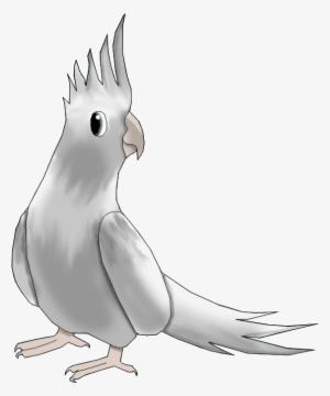 Clip Art Stock Cookie The Bird Transparent Background - Bird Drawing Transparent Background