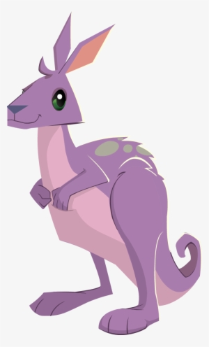 Png Royalty Free Image Aj Kangaroo Png Users Wiki Fandom - Animal Jam Animals Kangaroo