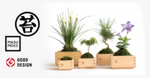 Masu Moss Masumoss Is A Green Interior Decoration, - Masumosu