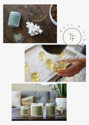 Moss Pine - Soy Candle