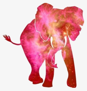 Trans Par En Cy - Watercolor Pink Elephant