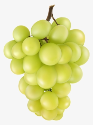 Grape Png Clip Art Image - Seedless Fruit