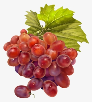 Dekupaj Resi̇mleri̇ Grape Painting, Fruit - Imagens De Frutas