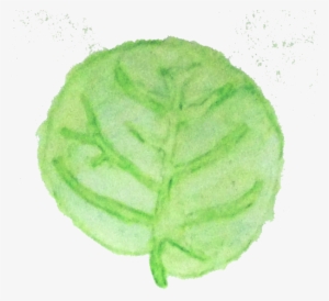 In The Meantime Sea Grape Leaves - Sketch