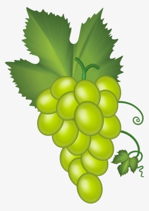White Grape Cluster Png Clip Art - Clip Art