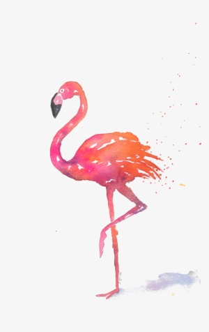 Home>note Cards>summer Theme Note Cards - Greater Flamingo