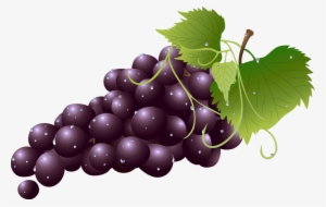Grapes Clipart Transparent Background - Grape Clipart Transparent Background