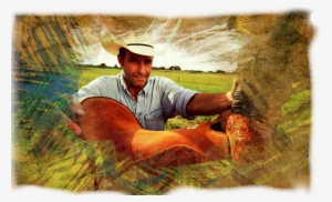 Meet Tom Mcmillan @tmkansas Star Of @tomswildlife On - Painting