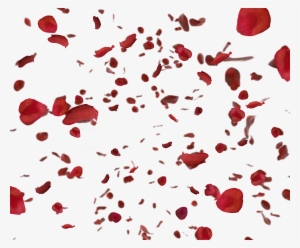 Red Rose Petals Png - 薔薇 花びら フリー 素材