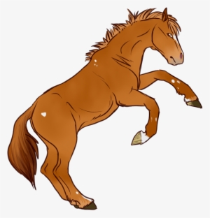 Burning Embers - Sorrel