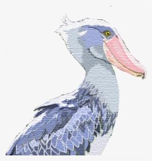 S Number 1 Is For Shoebill Stork - Shoebill Stork Png