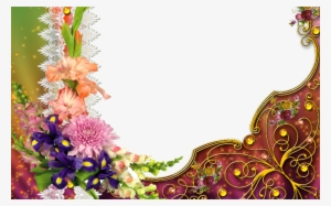Flower Frame Png Psd, Vector Free Download - Best Flower Photo Frames