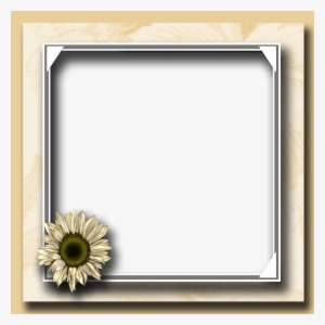 Flower Photo Frame Png - Flower Photo Frame