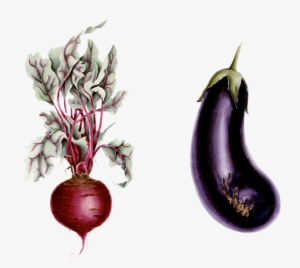 Watercolor Illustrations, Patterns, Design & Layout - Watercolor Painting