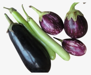 Brinjal Eggplant Png Image - Brinjal Png