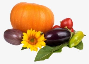 Pumpkin Tomato Pepper Eggplant Png Image - Перец Баклажаны Помидоры Png