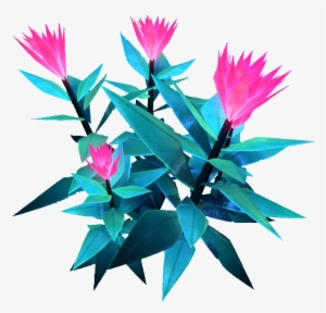 Pink Flower Flora - Flower