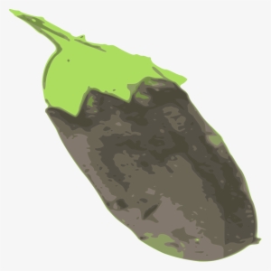 Eggplant 01