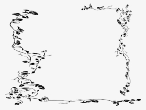 Vine Border Drawings