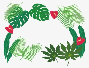 Clip Art Plant Leaves - Tropical Leaves Borders Png