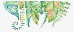 Vintage Car Rental Port Elizabeth - July 2018 Calendar Floral