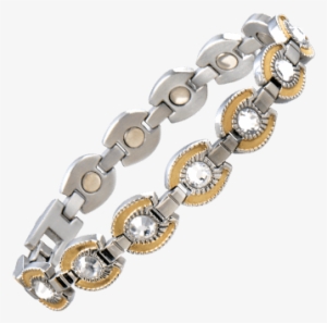 Gold Horseshoe Png - Chain