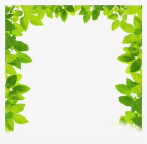 Printemps Cadre Green Leaves Border Frame Spring - ブッダの優しい論理学: 争わない対話術