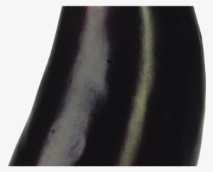 Eggplant Png Transparent Images - Eggplant
