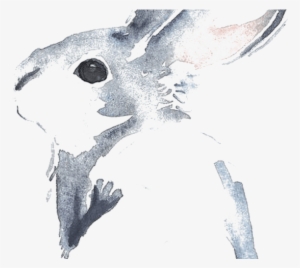 Cinnamon Rabbit Watercolour Flowers Drawing Watercolor - Rabbit Watercolor Painting