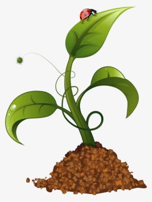 Elegant Spring Flower Clip Art Free Flowers Images - Crops Clipart Transparent