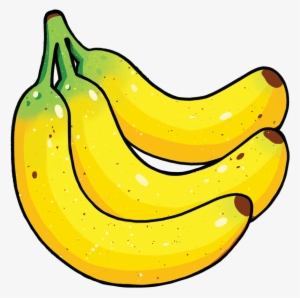 A Selection Of Work From A Series Of 25 Illustrations