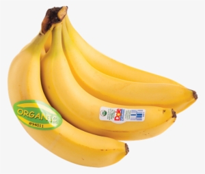 Fresh Organic Dole Bananas - Banana Dole Lb