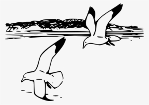 Free Vector Flying Sea Gulls Clip Art - Shore Clip Art Black And White