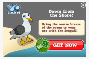 Gulls Are Birds In The Family Laridae - Alarm