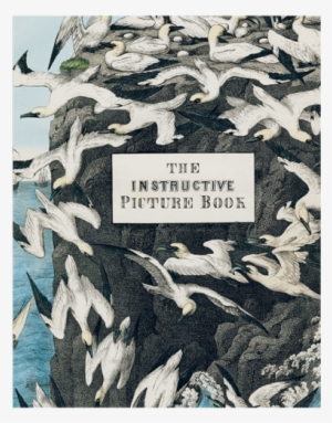 Seagulls - John Derian Picture Book