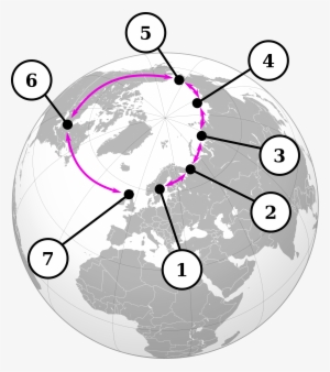 Open - Ring Species Larus